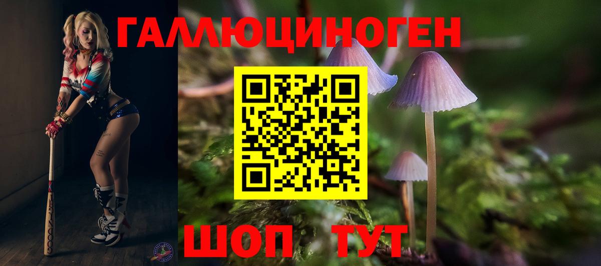 где купить наркотик  Галлюциногенные грибы мухоморы  Вход с VPN  Кемерово 